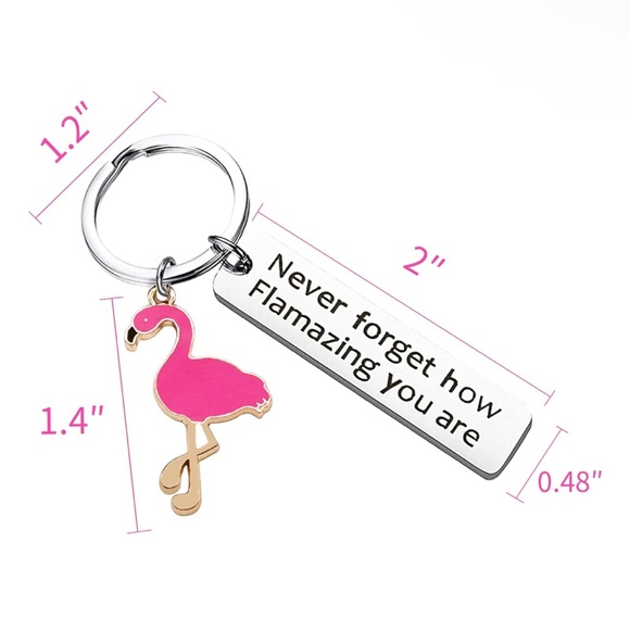 NEW, Flamingo Keychain Never Forget How Flamazing You are, various colors - Picture 3 of 4